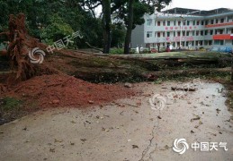 广西新一轮强降雨今起来袭桂林柳州等局地有大暴雨
