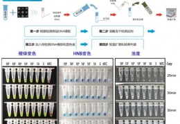 [扩增试剂生产厂家]桑寄生LAMP鉴定试剂盒分享微信扫一扫分享分享到新浪微博分享到丁香园论坛收藏