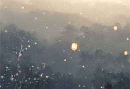 完结小说将军的美味娘子在线阅读全集