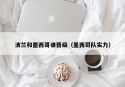 波兰和墨西哥谁晋级（墨西哥队实力）