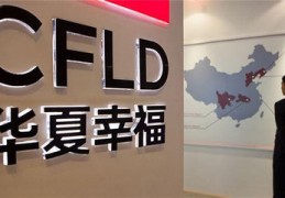 [石合盛硅业怎么样]合盛硅业是民企还是国企合盛硅业属于国企还是私企？