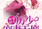娇妻似火：厉少宠妻无度完本阅读-厉致诚&amp;nbsp;百里亦青小说全集