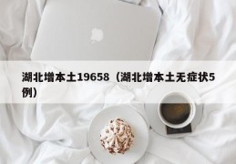 湖北增本土19658（湖北增本土无症状5例）