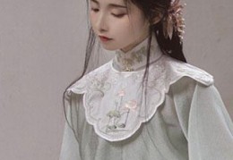 完结小说叶家二小姐是疯了吗？在线阅读全集
