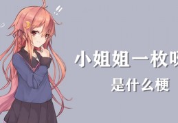 [小姐姐真的喜欢小姐姐吗]喜欢xx的小姐姐一枚呀梗含义介绍