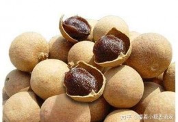 [贫血怎样养身体最好]贫血吃什么补血最快，这5种食补很有效果！