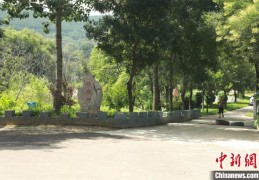 [如何农文旅融合]一个小山村的嬗变：农旅融合打造家门口的“诗和远方”