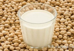 早餐吃什么好适合早餐吃的10种食物