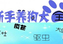 幼犬刚到家，这8个危险行为千万不能做