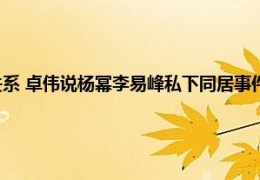 [李易峰出现什么事件是真的]李易峰赵丽颖什么关系卓伟说杨幂李易峰私下同居事件是真的吗具体情况详细内容介绍