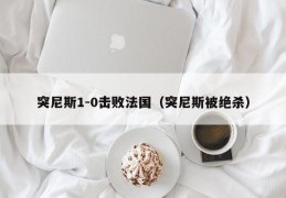 突尼斯1-0击败法国（突尼斯被绝杀）