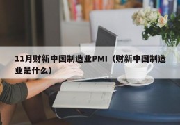 11月财新中国制造业PMI（财新中国制造业是什么）