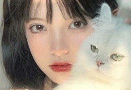 免费的小说1012148（盛柒柒纪川城盛云暖）在线阅读