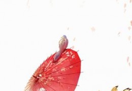 人皇系统帝辛免费阅读-人皇系统帝辛更新大结局
