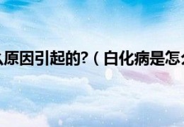 [白化病能吃零食吗视频]白化病是什么原因引起的？（白化病是怎么引起的）