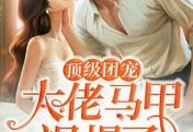 主角是权司南莫箐的小说-顶级团宠：大佬马甲飒爆了全目录今日更新
