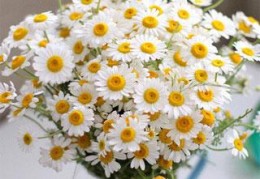 这个大神有点甜高甜电竞文系列小说阅读完整版-这个大神有点甜高甜电竞文系列（全文）在线无弹窗