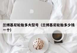 兰博基尼轮胎多大型号（兰博基尼轮胎多少钱一个）