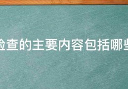 [安全检查检查啥]安全检查的主要内容包括哪些内容