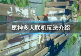 原神多人联机玩法介绍