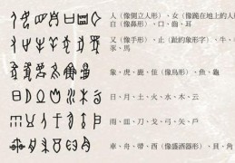 [常见文字的象形文字有]象形字有哪些