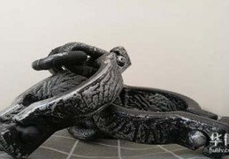 刑事拘留37天后会怎样，会放人吗