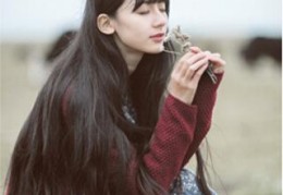 深夜情感研究所写的小说（女子生活图鉴）