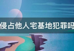 [侵占他人宅基地面积]侵占他人宅基地犯罪吗