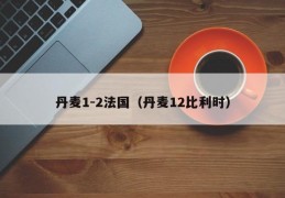 丹麦1-2法国（丹麦12比利时）