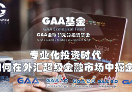 GAA基金|2022投资时代，如何在外汇超级金融市场中掘金？