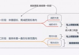 [真正的减肥方法是什么]普通人的真正减肥方法！