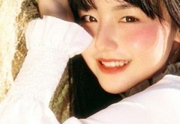 爱你我从未后悔免费全章在线阅读