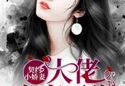 契约小娇妻：大佬宠妻无度最新更新-云厉琛楚纤凝全文免费