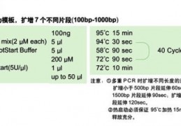 [扩增试剂生产厂家]天根生化科技（北京）有限公司