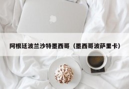 阿根廷波兰沙特墨西哥（墨西哥波萨里卡）