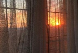 楚向哲宋韶华重生结局是什么-仅年写的最新小说