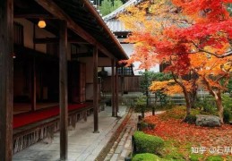 [北方院子夏天种哪些菜合适]北方庭院适合种什么树