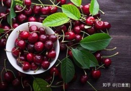 [加拿大车厘子寄国内要多久]车厘子进口报关手续和流程详情【纯干货】