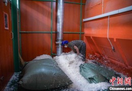 广西贵港市港南区桥圩镇，与羽绒的“不舍情缘”