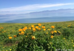 [新疆夏天最热几月开始]新疆旅游最佳季节几月份去新疆玩最好