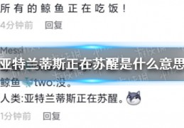 亚特兰蒂斯正在苏醒是什么意思鲸鱼的叫声亚特兰蒂斯梗介绍