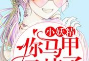 小妖精，你马甲又掉了更新章节目录（饶博易段瑶）