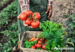 [北方院子夏天种哪些菜合适]蔬菜种植时间表（建议收藏）