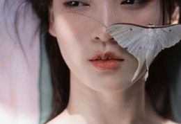 小说九爷的火爆娇妻在线阅读（九爷的火爆娇妻）