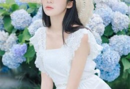 最新秋声依旧著梧桐更新