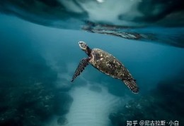 [天问这个武器真的存在吗]人真的有“命数”存在吗，为什么古往今来人们都喜欢算命？