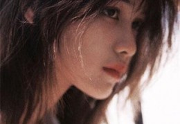 注定只是他生命中的过客最新更新-佚名写的小说