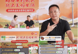 [丰收节金秋]农业农村部联合拼多多等启动2022中国农民丰收节金秋消费季