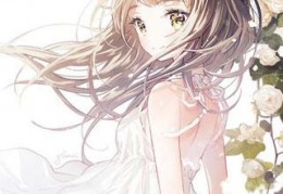 免费小说春光不及你明媚全章节完整版